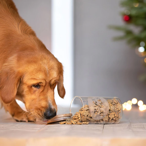 Alsa-nature Cookie-Glas - Image 5