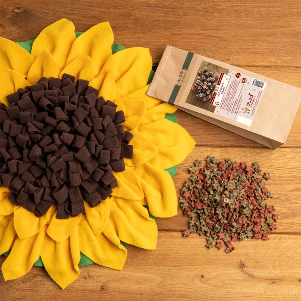 Alsa-nature Weihnachts-Set "Schnüffelteppich Sonnenblume"