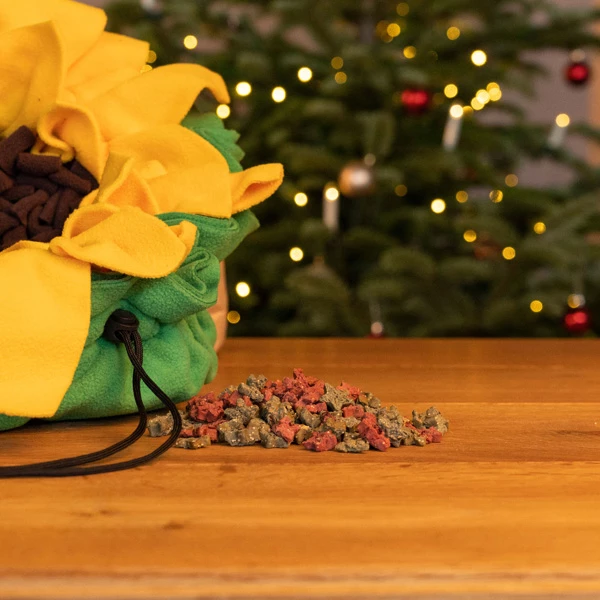 Alsa-nature Weihnachts-Set "Schnüffelteppich Sonnenblume" - Image 2