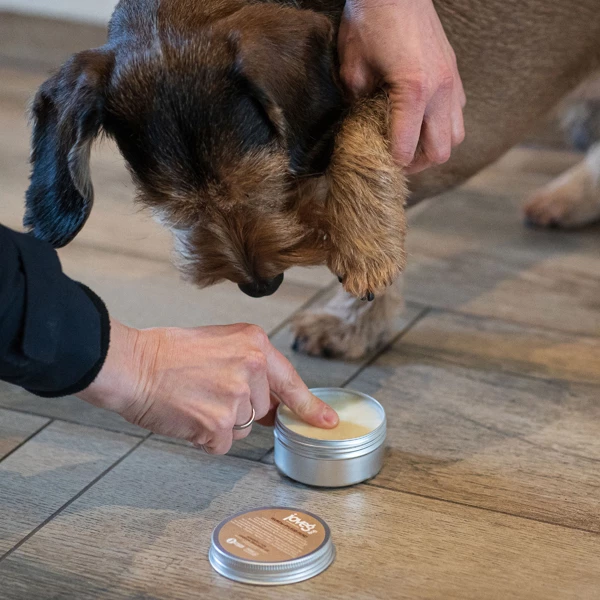 Joveg Pfotensalbe "WUNDer-Pflege"