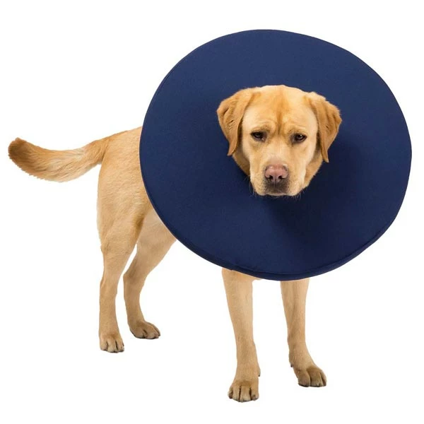 TePaw Hundekragen "Gute Besserung" - Image 2