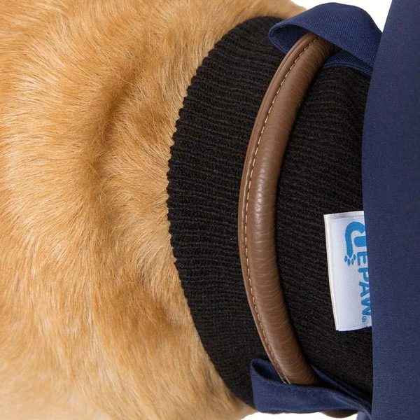 TePaw Hundekragen "Gute Besserung" - Image 3