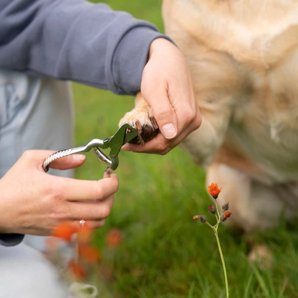 Krallenschere "Edelstahl" - Image 4