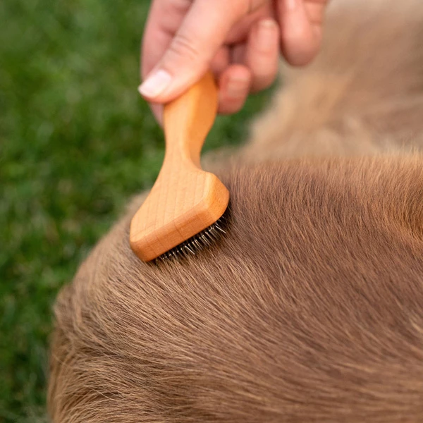 Filzzupfbürste "Maxipin" - Image 4