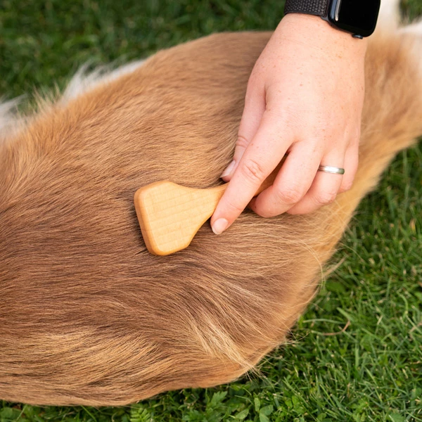 Filzzupfbürste "Maxipin" - Image 5