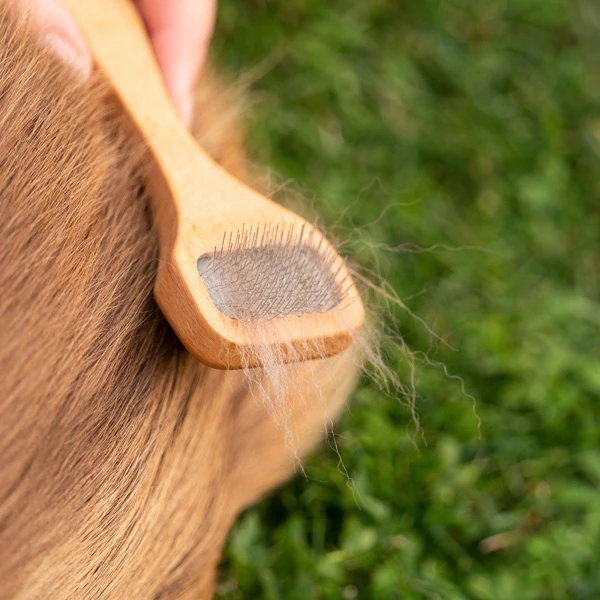 Filzzupfbürste "Maxipin" - Image 6