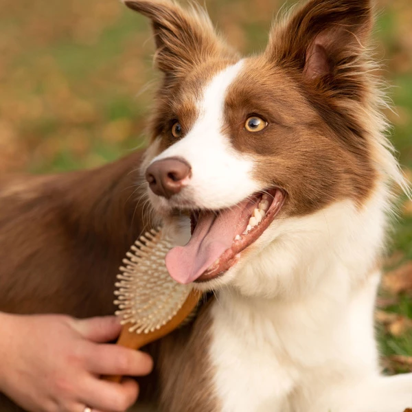 Kombibürste "Woody" - Image 5