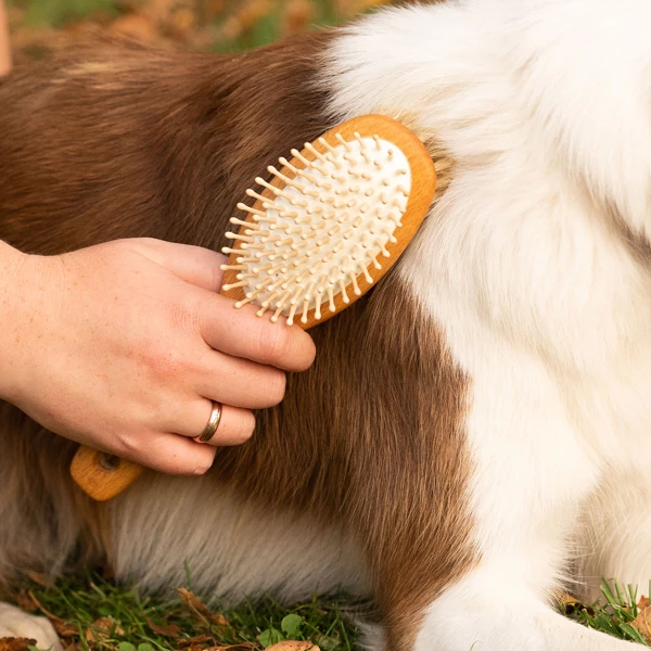 Kombibürste "Woody" - Image 6