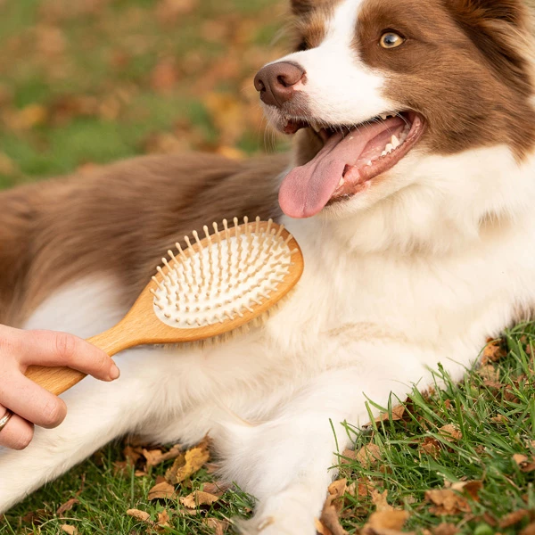 Kombibürste "Woody" - Image 7