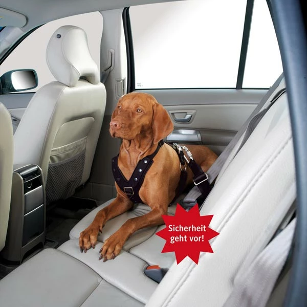 HUNTER Autosicherheitsgeschirr "Easy Comfort" - Image 2