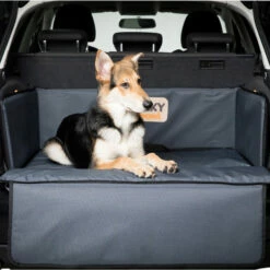 Transportbox "Walkybond"