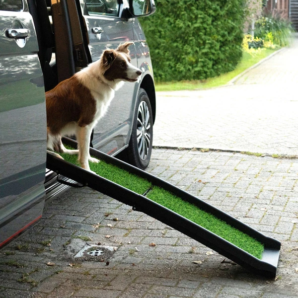 Hunderampe "Rasen" - Image 6