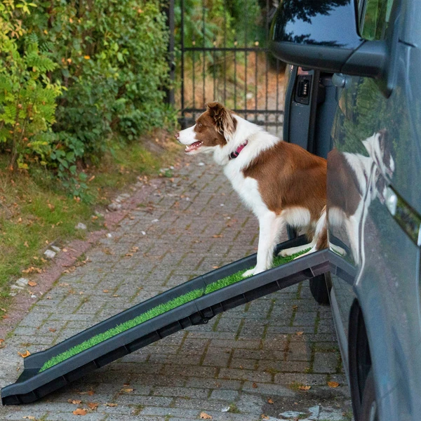 Hunderampe "Rasen" - Image 7