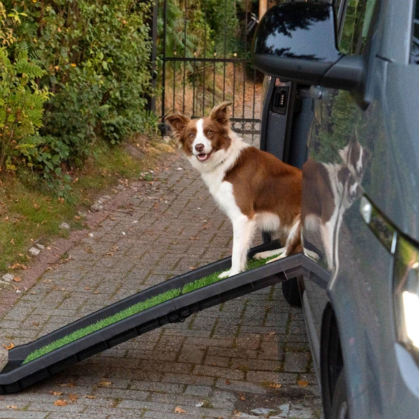 Hunderampe "Rasen" - Image 8