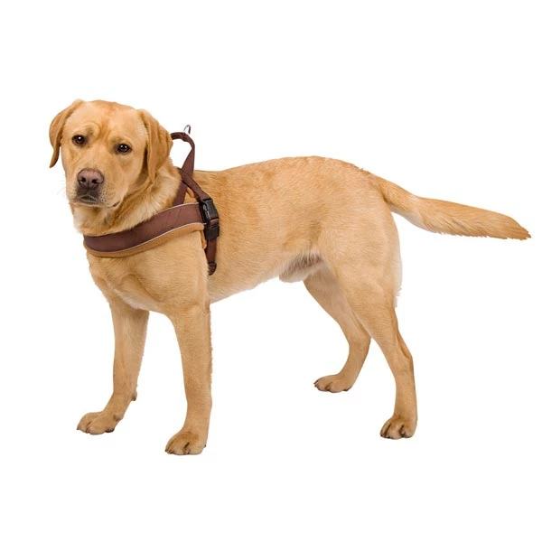 HUNTER Norweger-Hundegeschirr "Racing" - Image 2