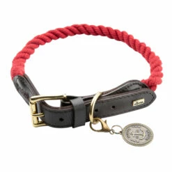 HUNTER Hundehalsband "List"