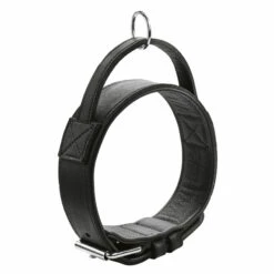 HUNTER Hunde Trainingshalsband "Larvik"