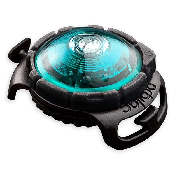 Orbiloc Leuchtanhänger "Dog Dual" - Image 5