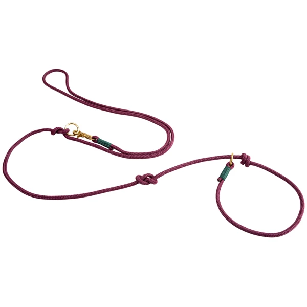 Alsa-brand Retriever-Führleine "Ole" - Image 7