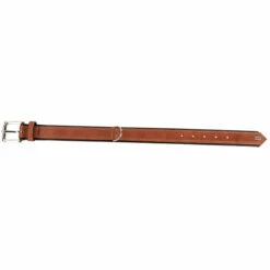 HUNTER Hundehalsband "Canadian Up"