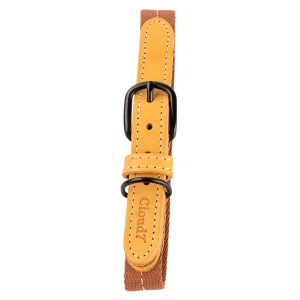 Cloud7® Hundehalsband "Madeira" - Image 2