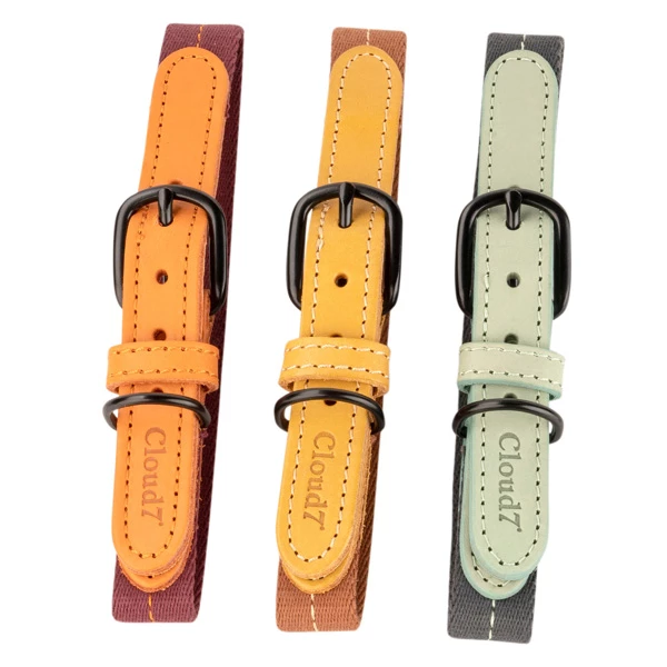 Cloud7® Hundehalsband "Madeira" - Image 3