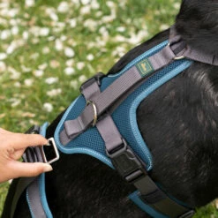 HUNTER Hunde Sicherheitsgeschirr "Maldon"