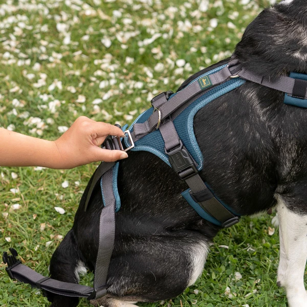 HUNTER Hunde Sicherheitsgeschirr "Maldon" - Image 10