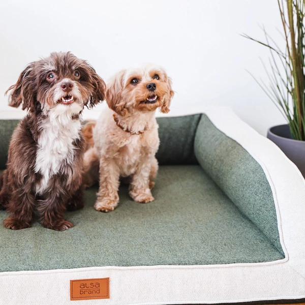 Alsa-brand Hundebett "Office" - Image 7