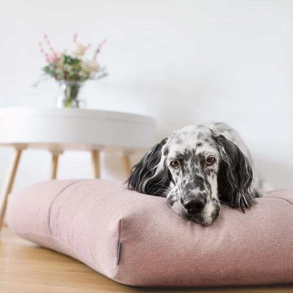 Labbvenn Hundekissen "Finno" - Image 4