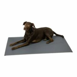 Alsa-brand Thermoliegematte "Warm & Healthy"