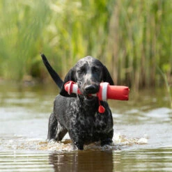 Rogz Wurf-Spielzeug "Lighthouse"