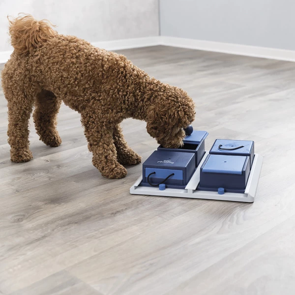 Interaktiv-Spiel "Poker" - Image 10