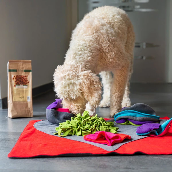 Knauder´s Best Schnüffelrasen "Heart Pad" - Image 8