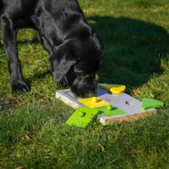 Interaktiv Spielzeug "Cake"