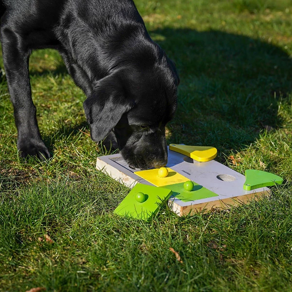 Interaktiv Spielzeug "Cake"