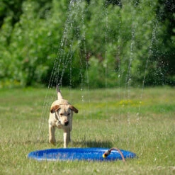 Hunde Wasserspielzeug "Splash Pool Water Sprinkler"
