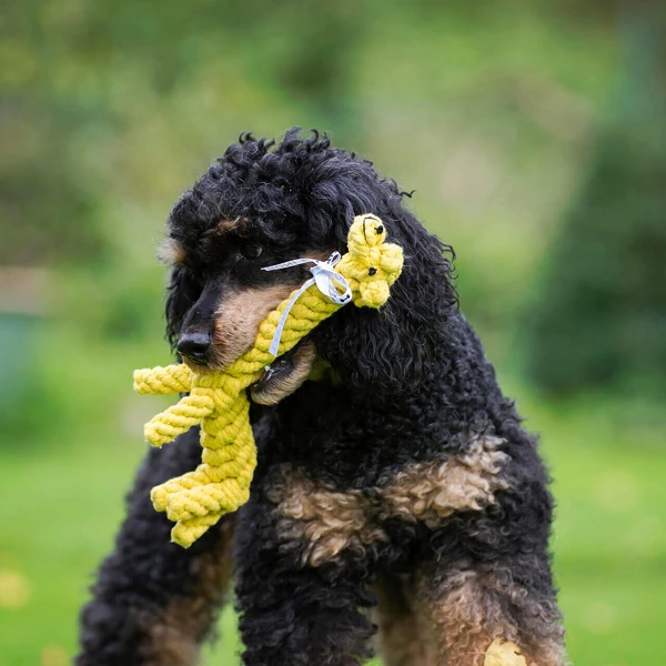 Laboni Hundespielzeug "Greta Giraffe" - Image 2