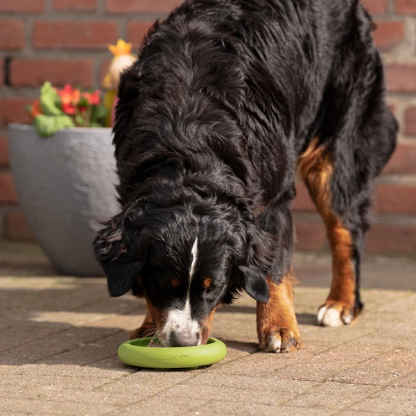 LickiMat® Hunde-Schlecknapf "Ufo" - Image 2