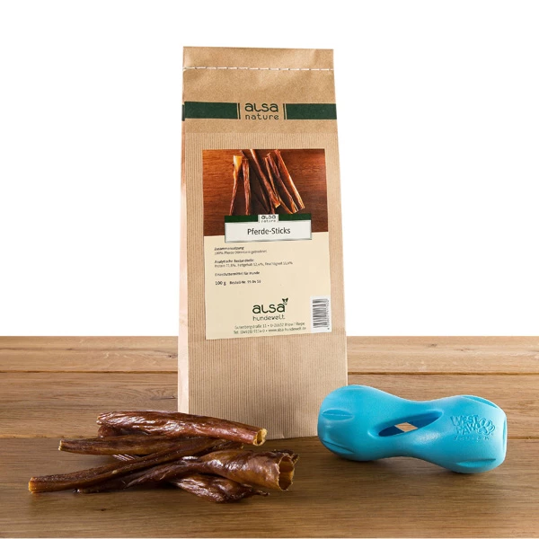 West Paw Spiel- & Snackpaket "Qwizl"