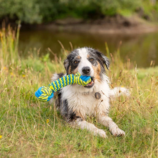 Hunde-Wasserspielzeug "Knot Bone" - Image 4