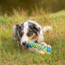 Hunde-Wasserspielzeug "Knot Bone"