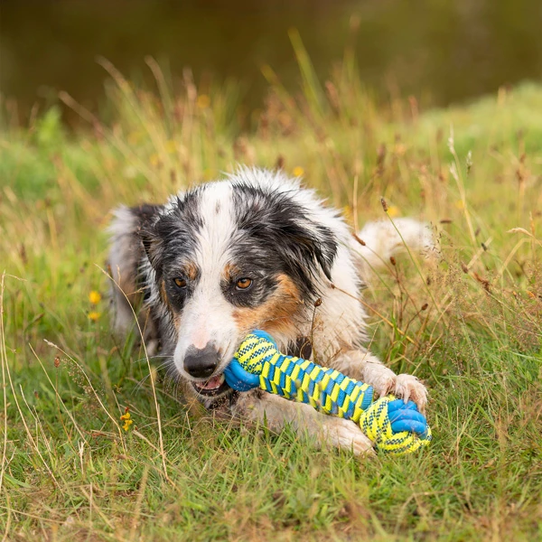 Hunde-Wasserspielzeug "Knot Bone"