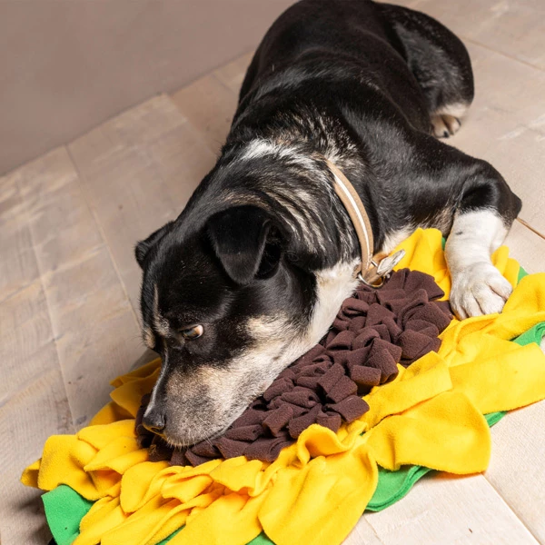 Hunde-Schnüffelrasen "Sonnenblume" - Image 7