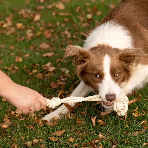Treusinn. Hundespielzeug "Eco Bloomy" - Image 4