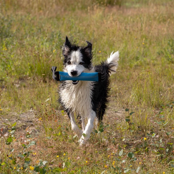 WOLTERS Dummy "Clever Dogz Two" - Image 3