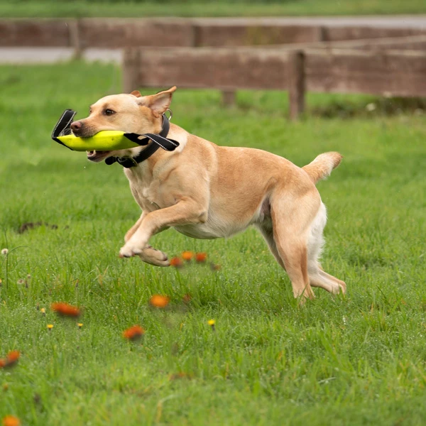 WOLTERS Dummy "Clever Dogz Two" - Image 6