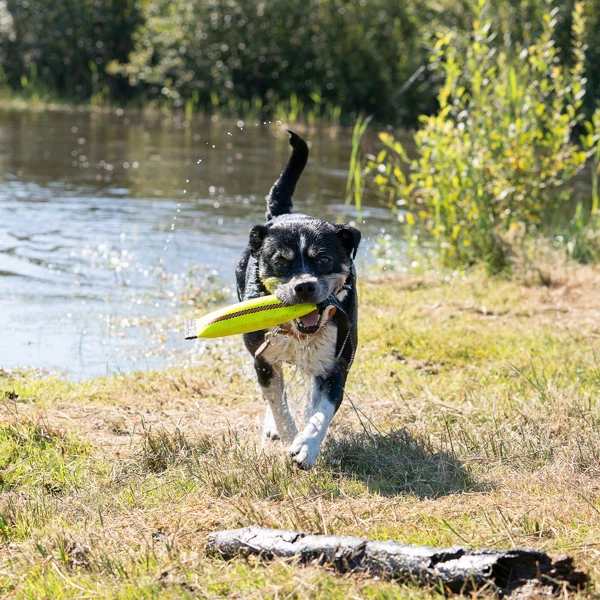 WOLTERS Dummy "Clever Dogz One" - Image 4