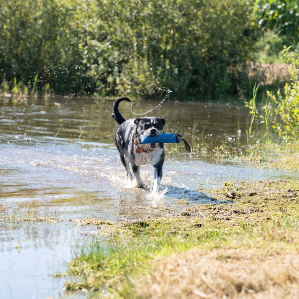 WOLTERS Dummy "Clever Dogz One" - Image 9