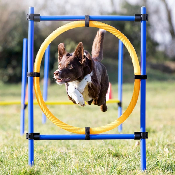 Reifen-Set "Fun-Agility"